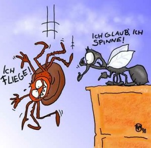 Karikatur Spinne und Fliege